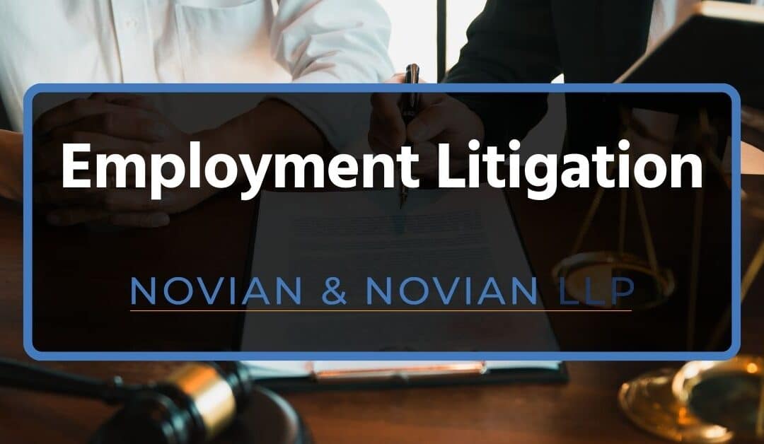 Employment Litigation: A Complete Guide