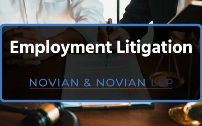 Employment Litigation: A Complete Guide