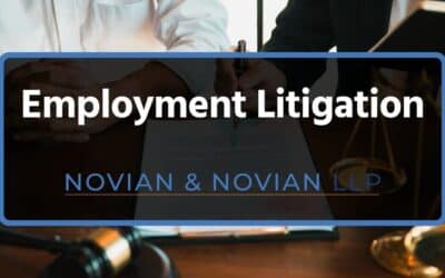 Employment Litigation