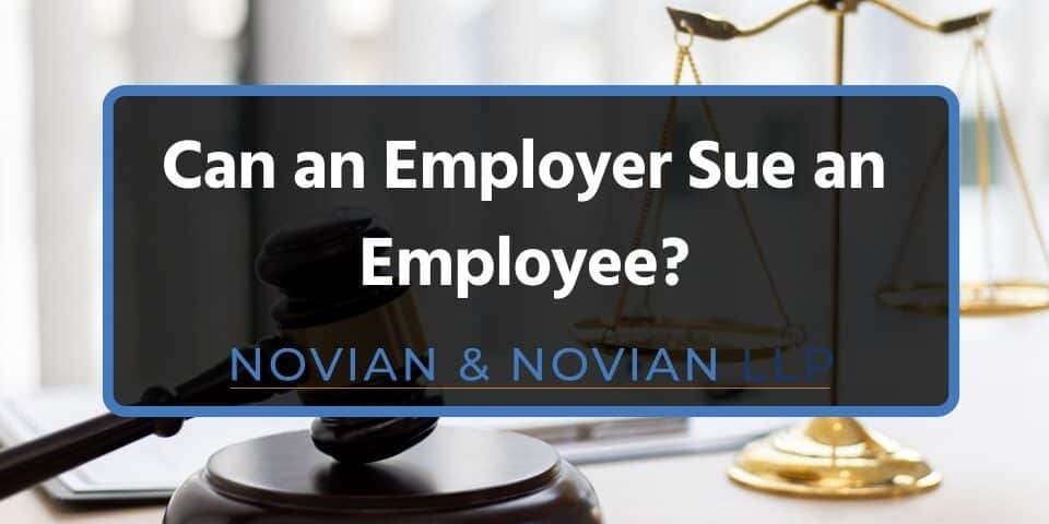 The Complete Guide To Employment Litigation