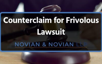 Counterclaim for Frivolous Lawsuit