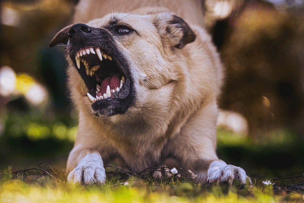 Your recovery is our goal. Hire a Long Beach Personal Injury Lawyer for dedicated support.