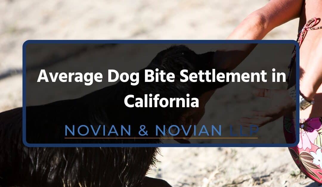 Average Dog Bite Settlement in California