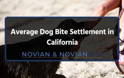 Average Dog Bite Settlement in California