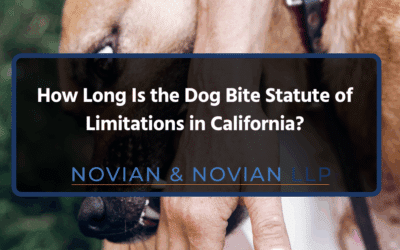 How Long Is the Dog Bite Statute of Limitations in California?