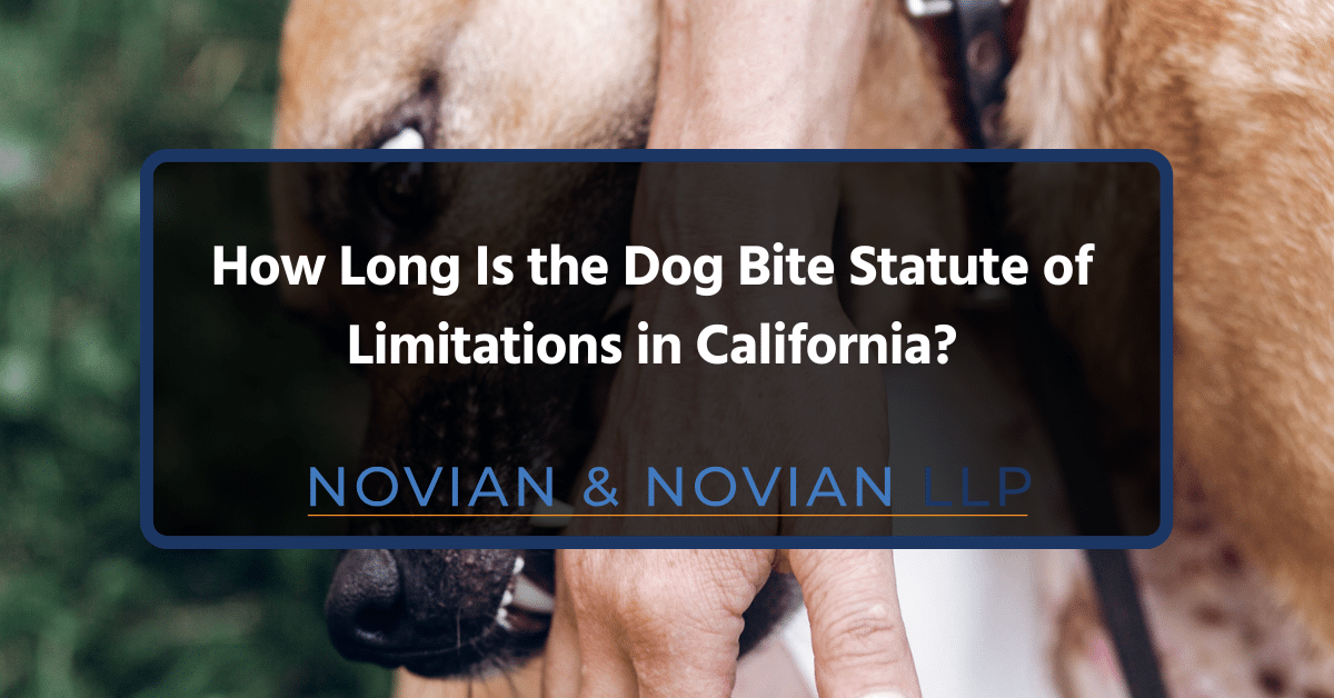 How Long Is the Dog Bite Statute of Limitations in California?