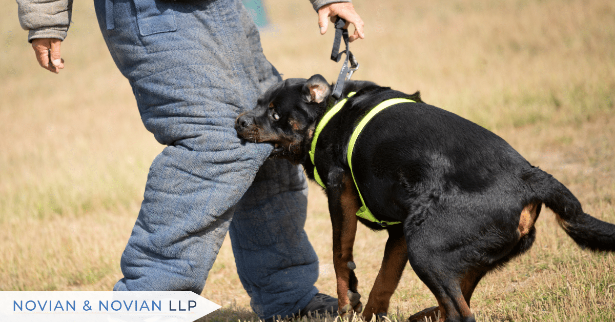 san diego personal injury attorney